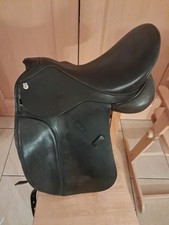 Massimo Dressur 2 , 17, 5 Zoll , KW  30