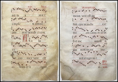 Antiphonar antiphonary - antiphonar,