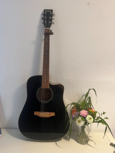 Collins gitarre akustische - collins-gitarre:,