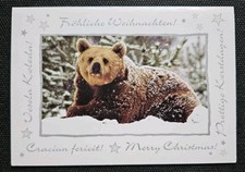 Tierpostkarte, AK Bär