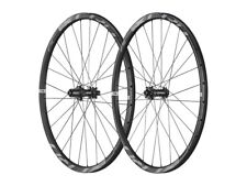 PAAR RAD GIANT XCR 29 0 CARBON