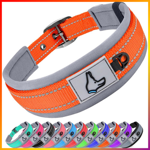 Hundehalsband neopren - hundehalsband,