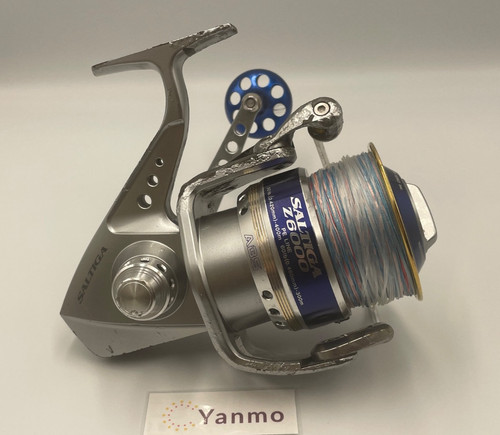 Saltiga z6000 daiwa spinnrolle - daiwa,