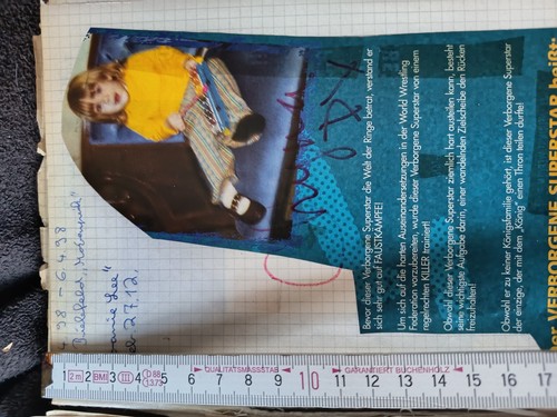 Chyna autogramm autograph