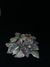 1kg!!! Muscheln, Perlmutt Paua