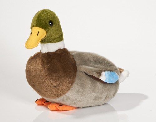Ente stockente erpel - ente,,