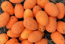 72 kleine Ostereier 3cm Kunststoff Osternest Osterdekoration Osterkorb