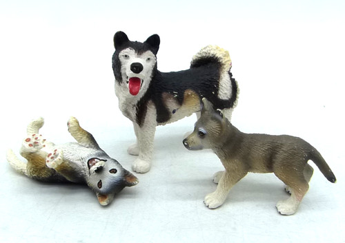 Schleich husky 16311 - husky,