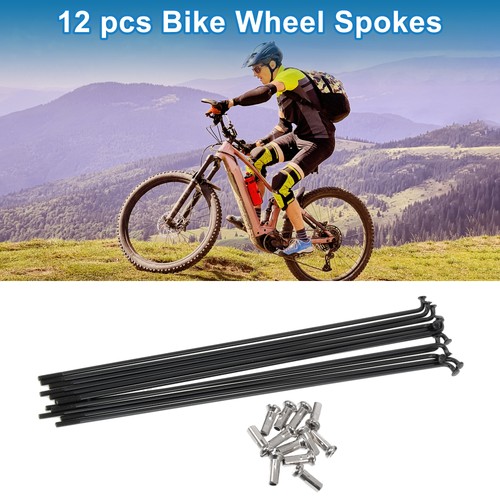 Fahrradspeichen 14g 169mm - 14g,
