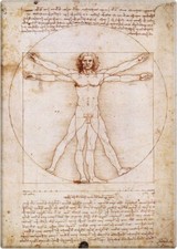 Kühlschrank Magnet:  Leonardo