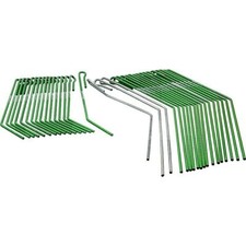 Striegelzinken amazone - striegelzinken,