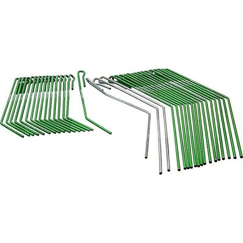 Striegelzinken amazone - striegelzinken,