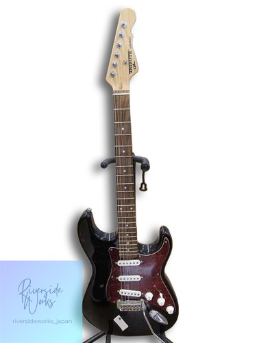 Stratocaster type tribute - stratocaster,