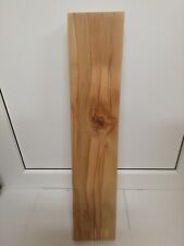 1xBuche Bohle Gestockt