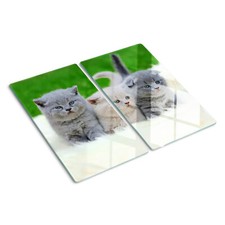 Glas-Herdabdeckplatte