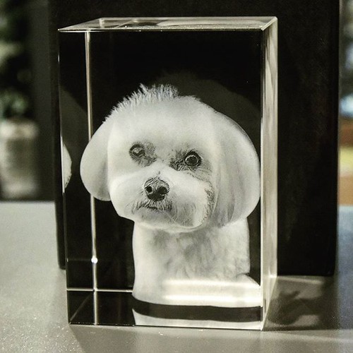 R90 katze foto glas - katze, 3d