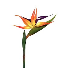 Künstliche strelitzie 60cm - künstliche,