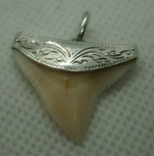 Vintage: Original Haifischzahn