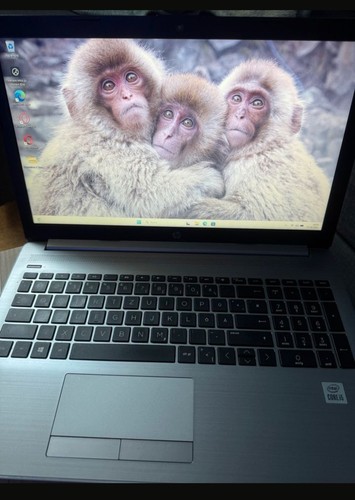 250 notebook 6 - hp,