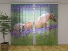 Fotogardine aus chiffon pferd - chiffon, "pferd