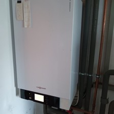 VIESSMANN VITODENS 300-WTyp