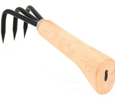 Dingmu Bonsai - Wurzelkralle