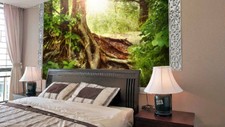 3D Baumwurzel Sonnenlicht 5