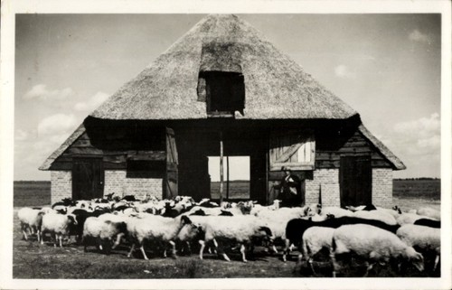 Ruinen drenthe niederlande - ruinen,