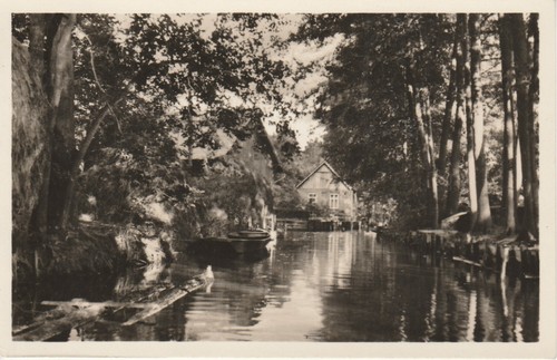 Spreewald im schönen - im,