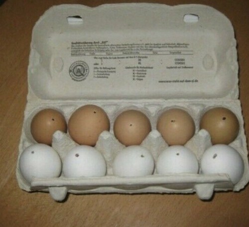 Ausgeblasene echte eier - echte,