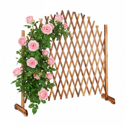 Rankgitter holz