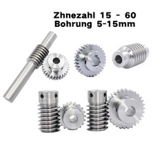 Schnecke Schneckenrad aus