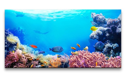 120x60cm leinwandbild - 120x60cm,