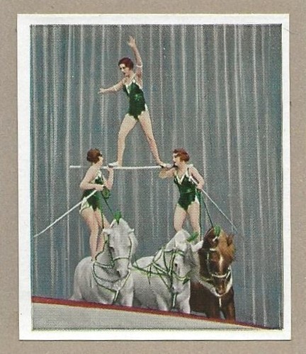 104 sammelbild jahr 1935 - sammelbild,
