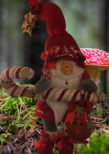 ELFEN PURZELPREIS Wichtel XL