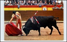 Stier Kampf Bullfight Spanien Corrida de Toros Torero Postkarte 