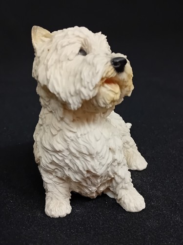 Castagna west highland - west, terrier