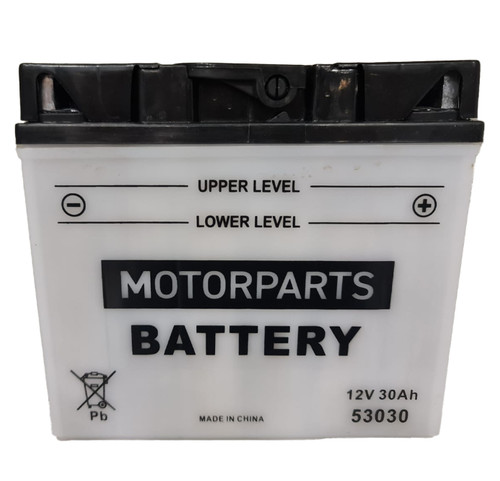 Batterie 53030 12v 30ah - 53030,