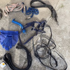 Pferde Bauchgurt Triangle