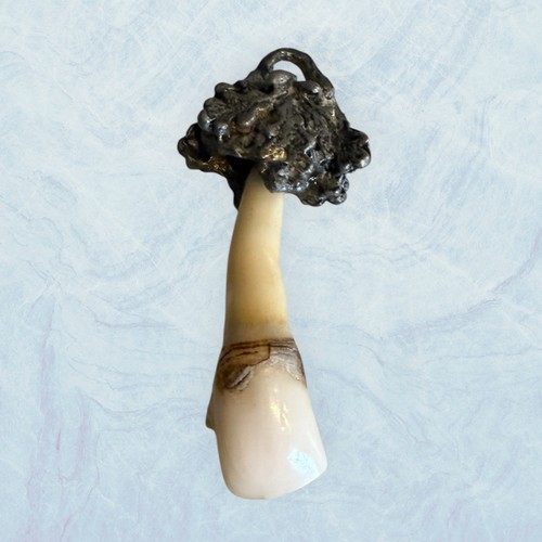 Charivari scharivari zahn - charivari,