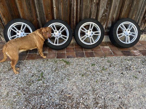Porche felgen zoll mit - ,