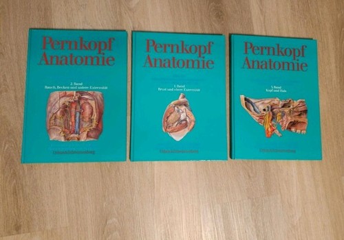 Pernkopf anatomie des menschen - anatomie,