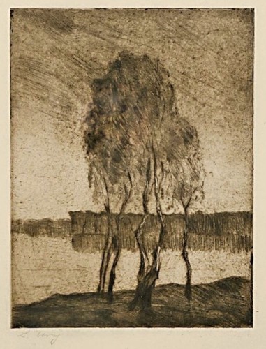 Lesser ury drei - -, birken