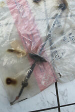 NEU Original GC 400510 Gaszug Audi 50 Polo 1 Derby 1 (Bj. 74-81) *NOS*