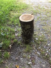 Ca 15 kg  Olivenholzstamm Drechselholz  Dekoholz. B-Ware