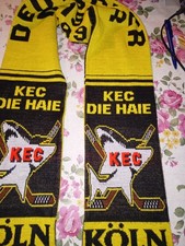 Kölner Haie Eishockey Fan