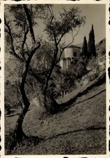 Ak Gandria Lago di Lugano
