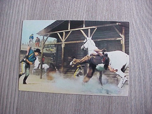 Das war buffalo - war, bill"