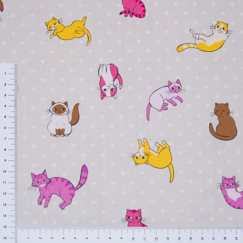 Süße katzen auf beige - süße,