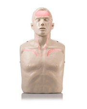 Brayden Manikin LED Blutfluss